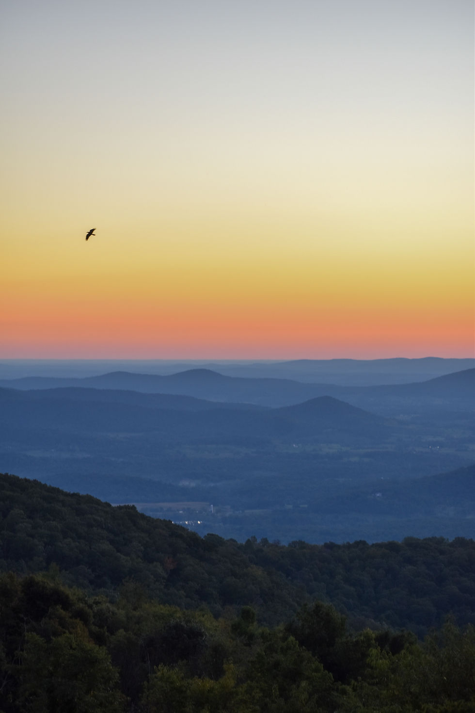 About Shear Dimensions Hair Salon